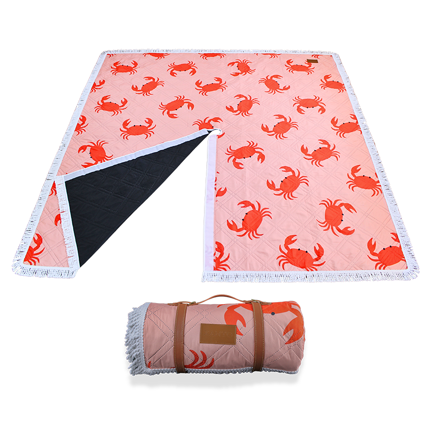 XO Beach Blanket - Palms