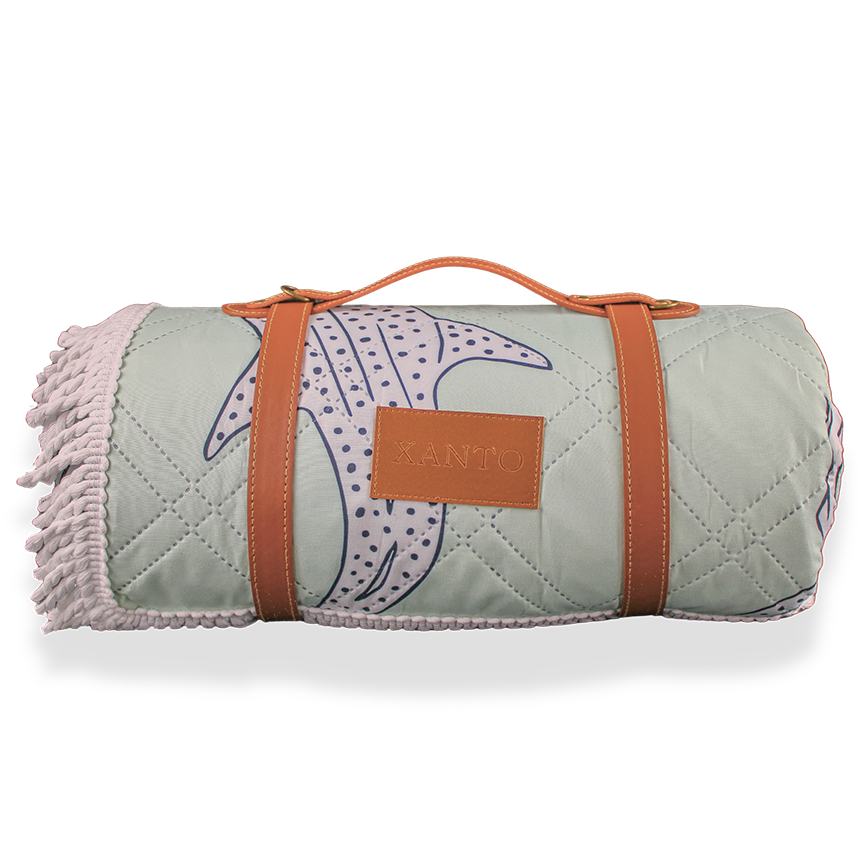 Beach picnic setting with a cozy beach blanket and durable picnic blanket for outdoor relaxation