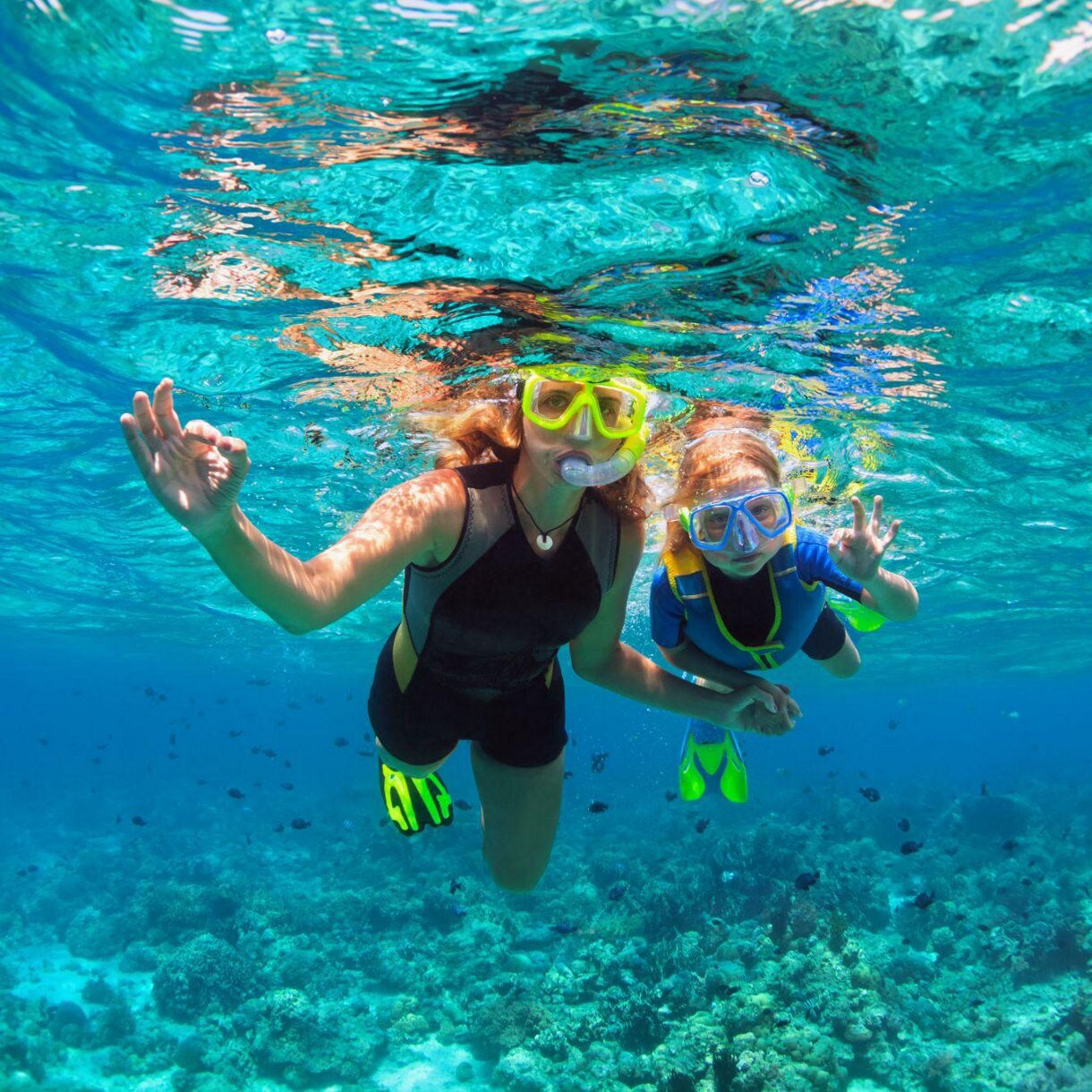 Best Things to Do at the Beach in Australia