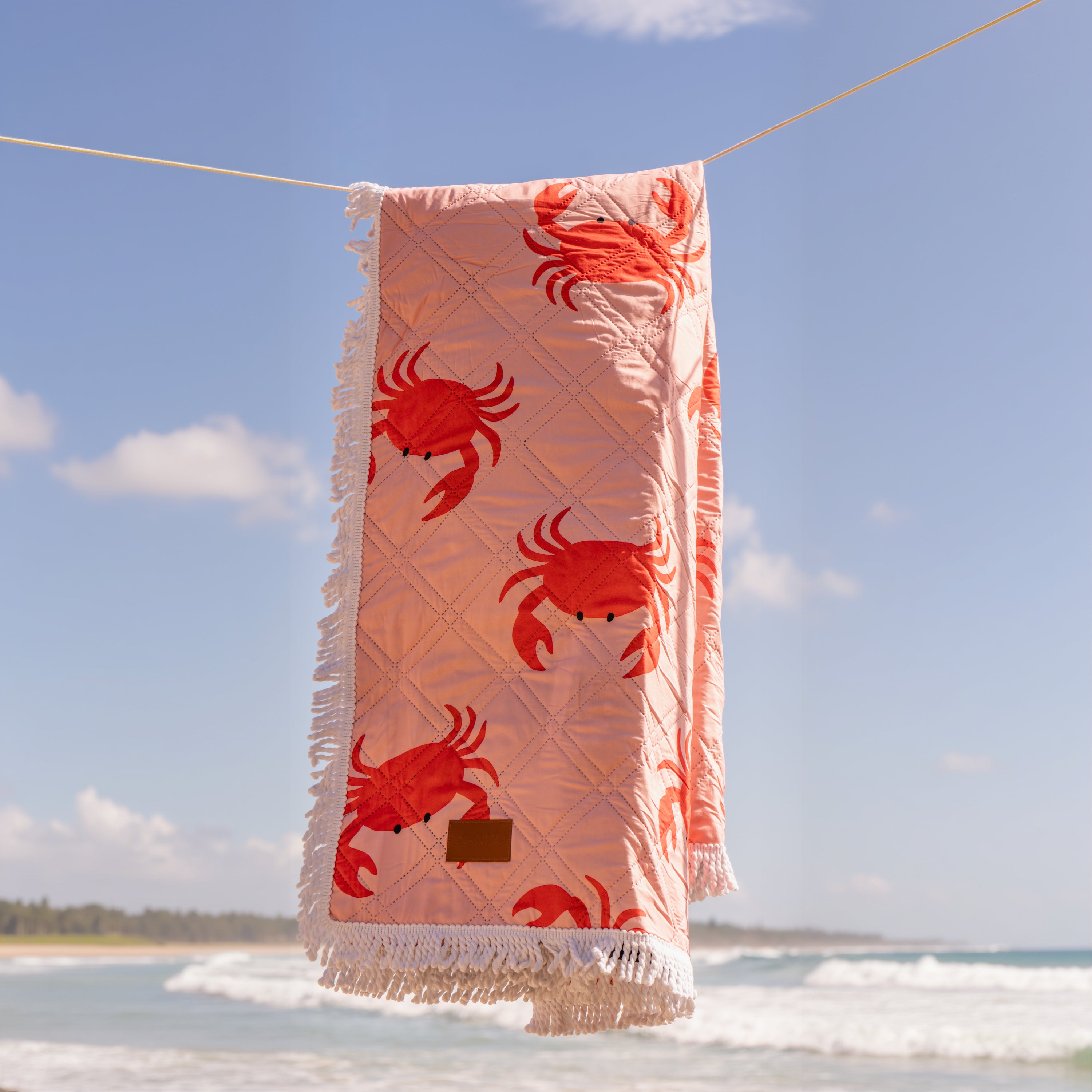 Beach picnic setup on a colorful beach blanket perfect for outdoor fun and relaxing picnic moments