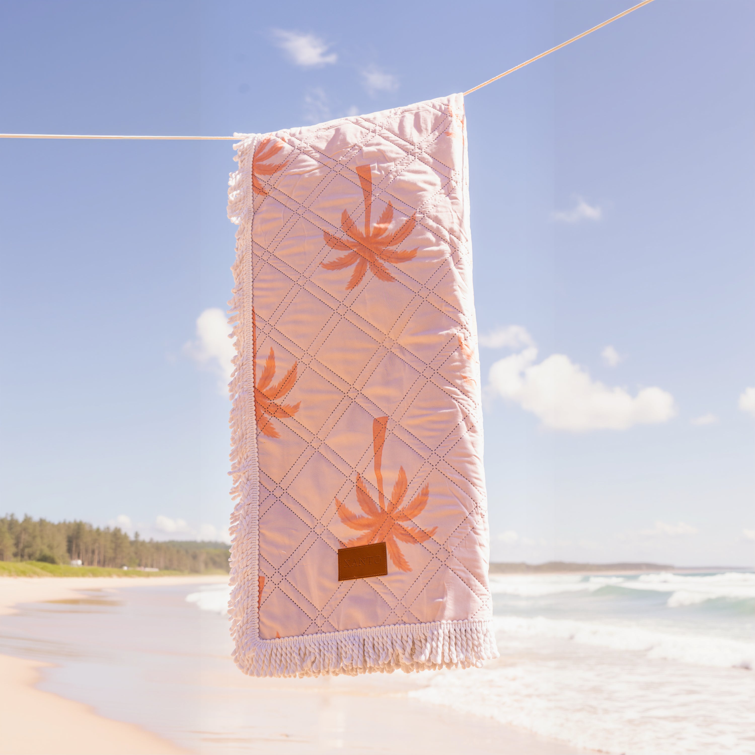 Beach picnic setup on a colorful beach blanket perfect for outdoor relaxation and enjoyment