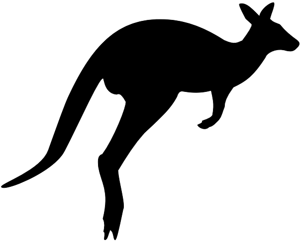 Black silhouette of a kangaroo on a white background